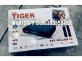 tiger-one-million-v4-2023-small-0