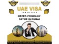 2-years-business-partner-visa-al-lisaili-971568201581-small-0