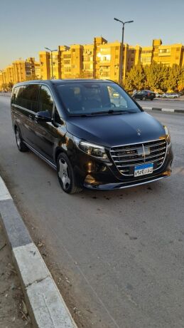 rent-a-mercedes-v300-with-driver-to-elevate-your-family-vacation-or-business-trip-big-0