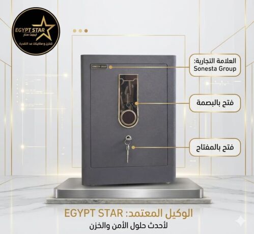 khznsonesta-tksym-dakhly-thky-fyha-drg-dakhly-llmktnyat-alsghyr-big-0