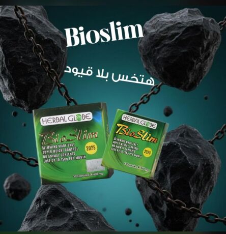 bayo-slym-lltkhsys-bio-slim-big-0
