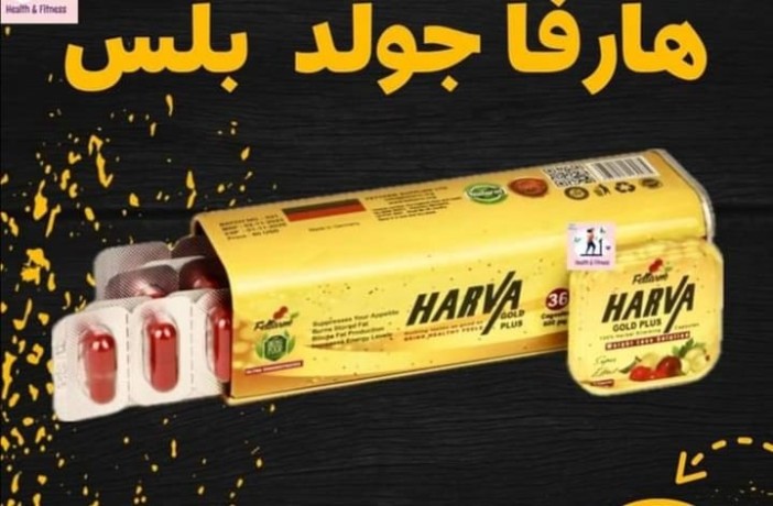 harfa-gold-bls-lltkhsys-harva-gold-plus-big-0