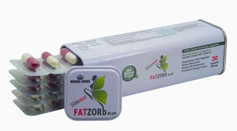 fat-zorb-bls-lltkhsys-fat-zorb-plus-big-0