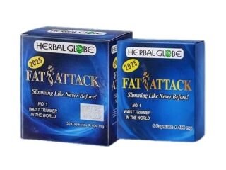 فات أتاك للتخسيس FAT ATTACK