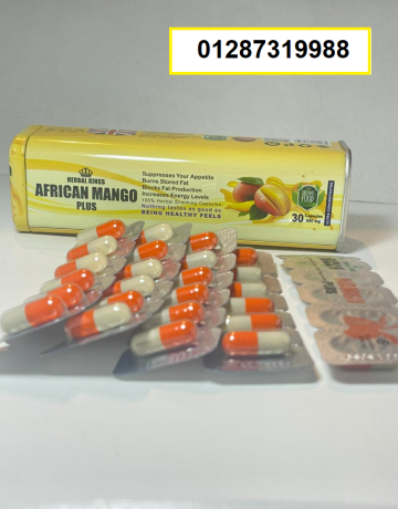 afrykan-mango-lltkhsys-aal-mdaaaf-hrk-aldhon-fy-algsm-big-0