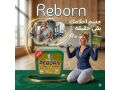 kbsolat-ryborn-lltkhsys-osd-alshhy-36-kbsol-small-0