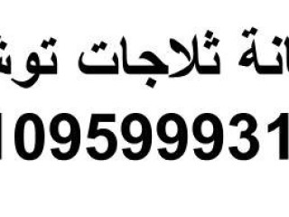 وكيل صيانة ثلاجات توشيبا طوخ 01220261030