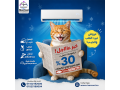 ma-hy-asaaar-tkyyfat-15-hsan-small-0