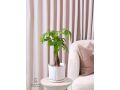 nbatat-alzyn-aldakhly-mn-motn-alnbatat-small-1