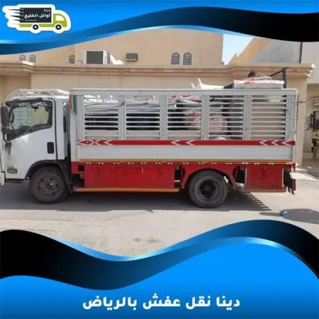dyna-tsh-athath-balryad-0536656365-dyna-tsh-athath-mstaaml-big-0