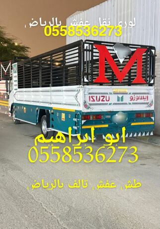 dyna-lory-nkl-aafsh-mn-alryad-al-aldmam-0558536273-big-0