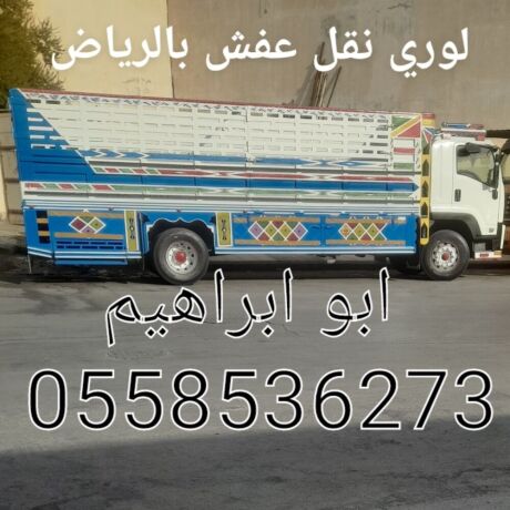 lory-nkl-aafsh-mn-alryad-al-hayl-0558536273-alksym-bryd-big-0