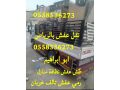 altkhls-mn-alathath-alkdym-shmal-alryad-0558536273-bhy-alnkhyl-nthaf-alshkk-oalfll-oalksor-mn-alaafsh-balryad-small-0