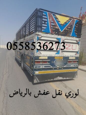 lory-nkl-aafsh-bdayaa-mn-alryad-al-tbok-0558536273-sahb-lory-nkl-athath-balryad-big-0
