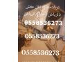 tryla-nkl-aafsh-obdayaa-kharg-alryad-0558536273-tryla-starh-goanb-almany-mn-alryad-al-gd-mk-bryd-small-0