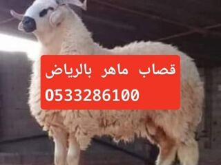قصاب ماهر بالرياض 0َ507973276