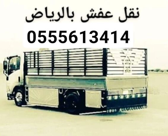 ynklon-aafsh-balryad-0555613414-shrk-nkl-aafsh-balryad-big-0