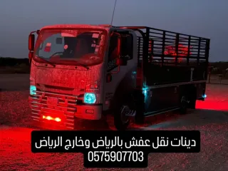 دينا نقل عفش خارج الرياض 0575907703