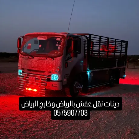 dyna-nkl-aafsh-kharg-alryad-0575907703-big-0