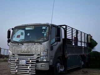 دينا تشيل اثاث تالف بالرياض 0507236883 حي الروبي
