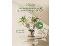 hdaya-nbatat-alaayd-mn-motn-alnbatat-small-5