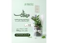 hdaya-nbatat-alaayd-mn-motn-alnbatat-small-8