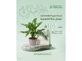 hdaya-nbatat-alaayd-mn-motn-alnbatat-small-1