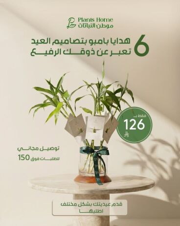 hdaya-nbatat-alaayd-mn-motn-alnbatat-big-5