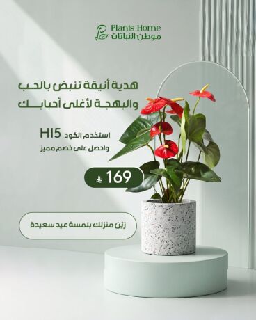 hdaya-nbatat-alaayd-mn-motn-alnbatat-big-3