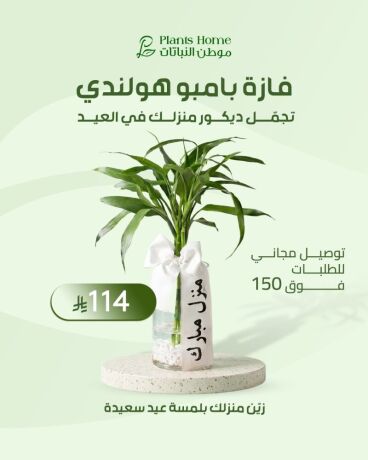 hdaya-nbatat-alaayd-mn-motn-alnbatat-big-0