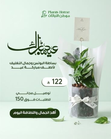 hdaya-nbatat-alaayd-mn-motn-alnbatat-big-8