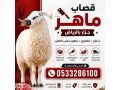 ksab-mahr-balryad-0533286100-gzar-mahr-osryaa-shmal-alryad-small-0