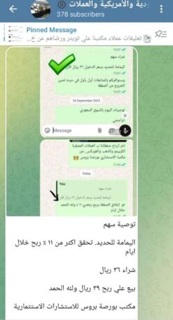 tosyat-thhby-oadar-mhafth-alashm-alamryky-oalsaaody-oalthhb-baaaly-rbh-mn-mktbna-bors-bros-big-6