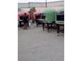 afdl-alafran-lsnaa-albytza-alnaboly-okaf-almaagnat-small-1