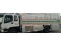 lory-nkl-aafsh-0550560494-small-0
